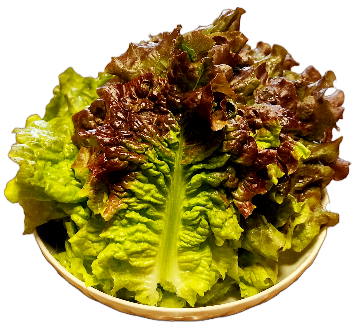 Organic Lettuce 300g