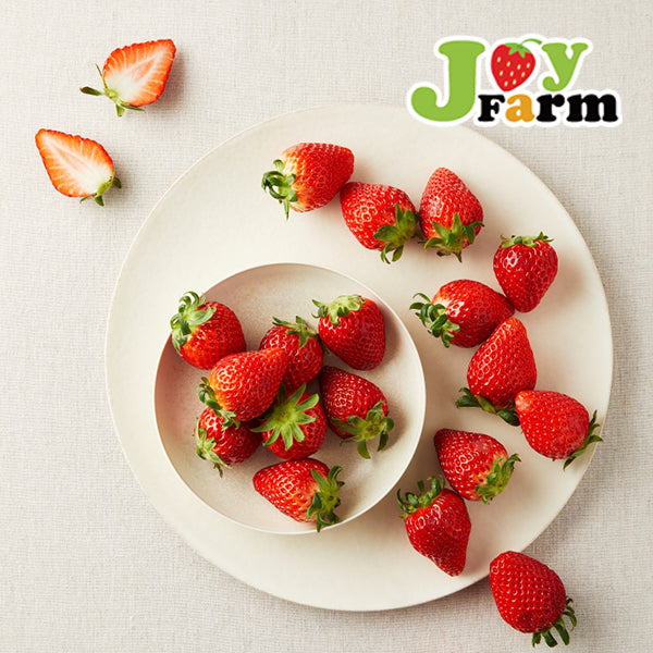 <Sandy Farm/Last Sale> Dâu 'JoyFarm' cao cấp nhất Hàn Quốc (350g)