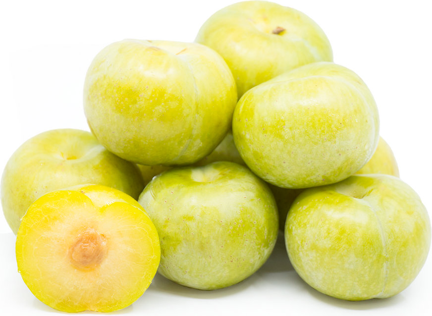 <샌디팜> 에메랄드 뷰티 플럼 (10ea/pack)