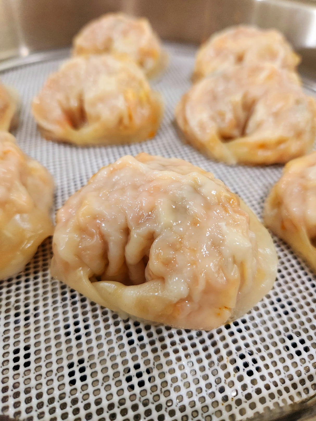 Homemade Kimchi Dumplings (770g)
