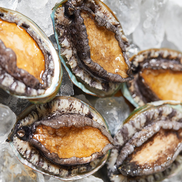 <Blue Bay_Sashimi> LIVE Abalone (5pcs, Pickup/Delivery ONLY On Wed/Thu)
