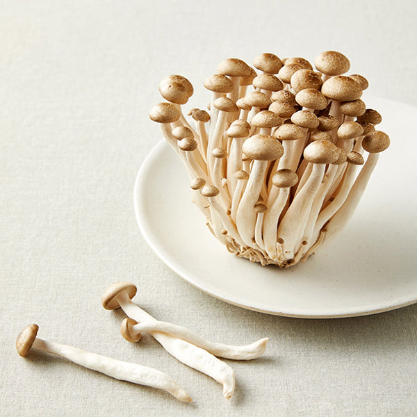 <Sandy Farm> Nấm măng tây nâu (150g)