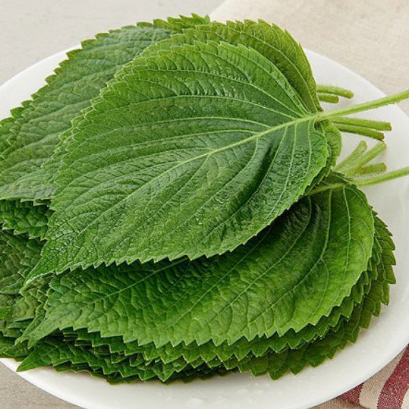 Perilla Leaves 2 Packs