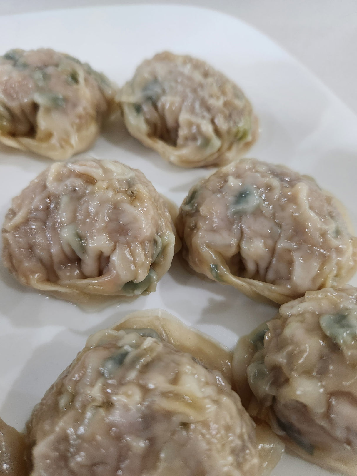 Homemade Meat Dumplings (770g)