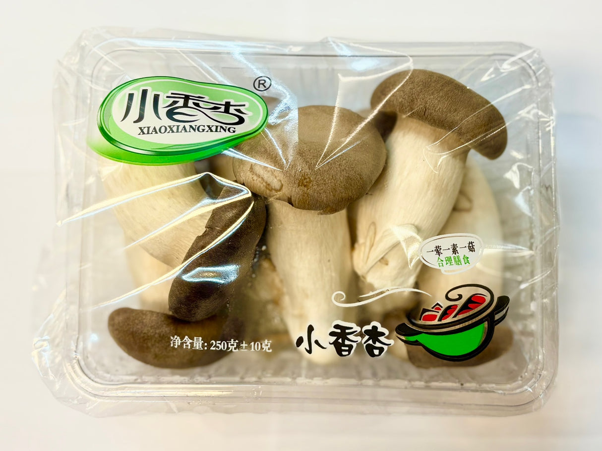 <Sandy Farm> Nấm đùi gà mini (250g)