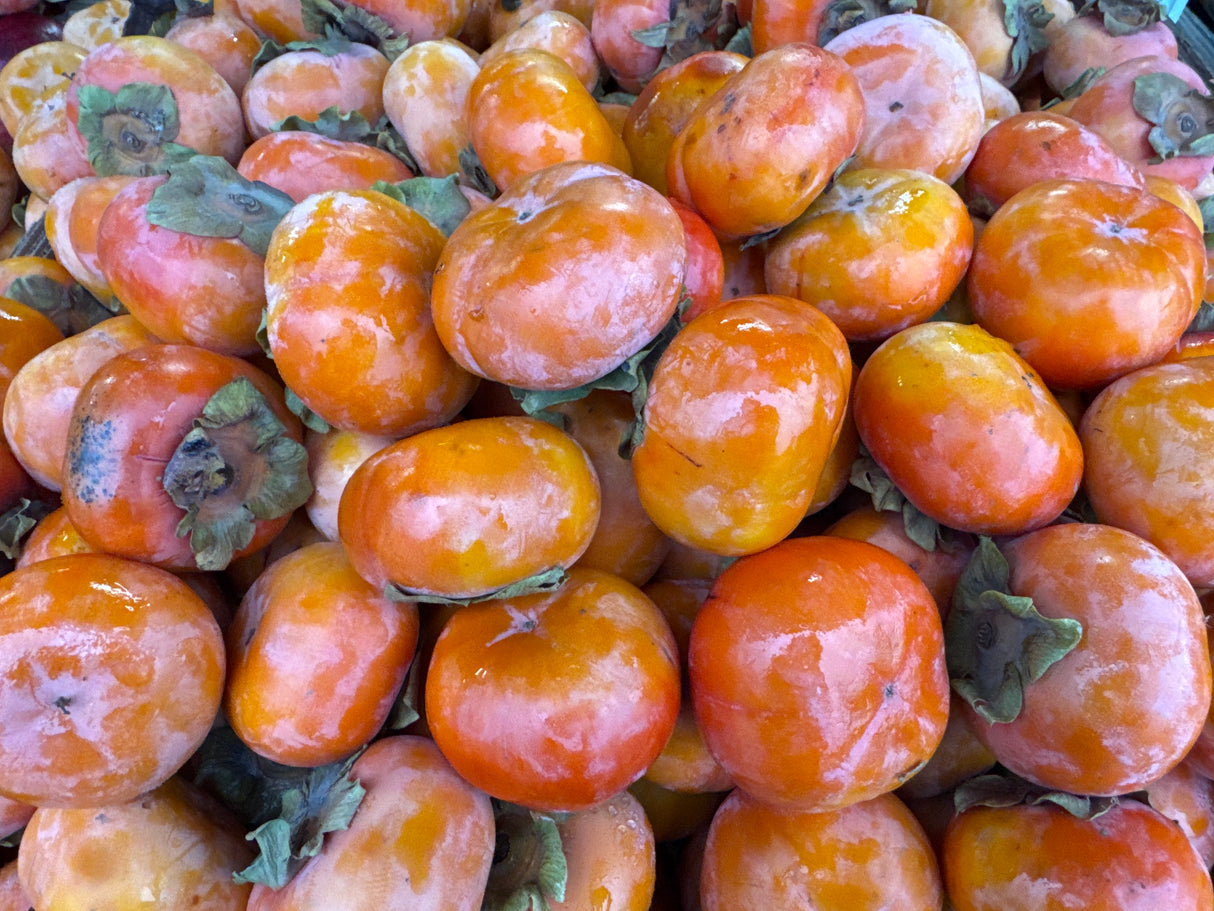 <샌디팜> 켈리포니아 단감 (약 3LB)