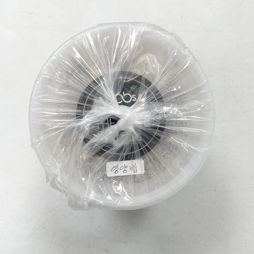 Nutritional Mushroom Rice (210g X 3ea)