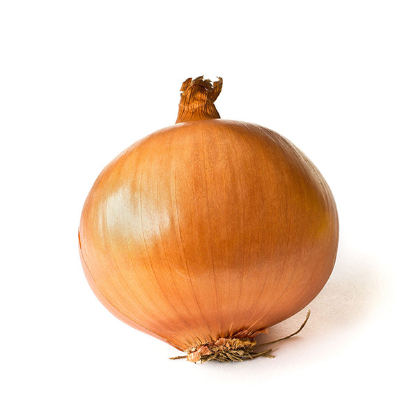 *<샌디팜> 양파 (Yellow, 3LB)