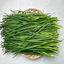 유기농 부추 (300g)