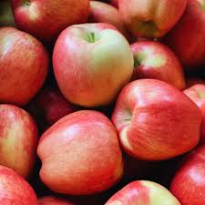 <Sandy Farm> Organic Apples (Ambrosia, about 3LB, 6 pieces)