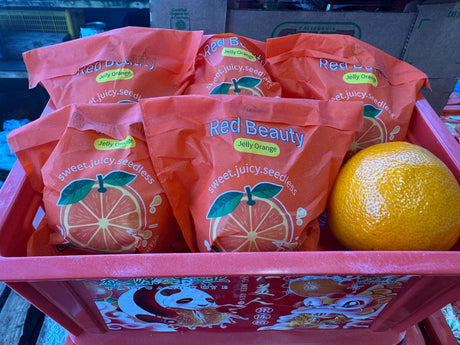 <샌디팜>jelly mandarin(약 2kg)