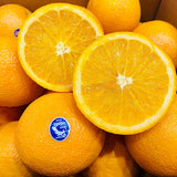 <SANDY FARM> Blue Jay Orange (S size, 10EA, about 3.5LB)