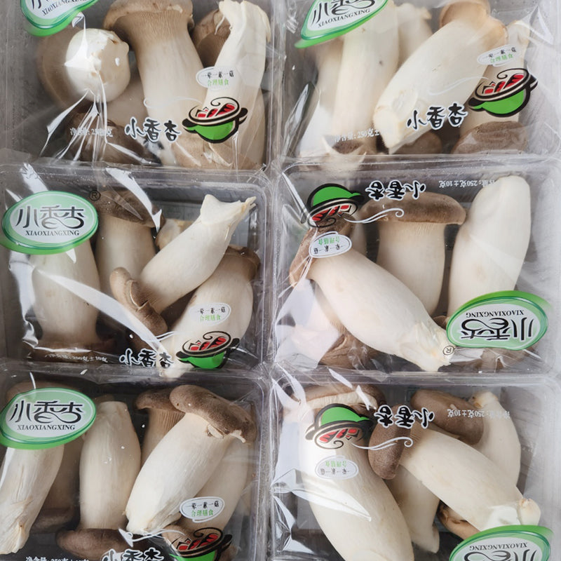 <샌디팜> 미니 새송이버섯 (300g)