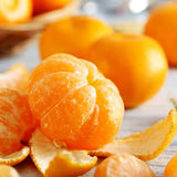 <Sandy Farm> Tangerine (Baby Murcott Mandarin, about 3LB, 27 pieces)