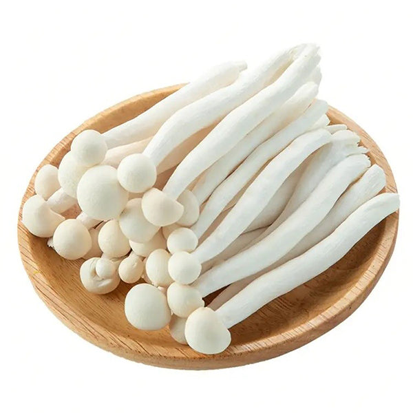 <샌디팜> 버섯 (해물버섯, 150g)