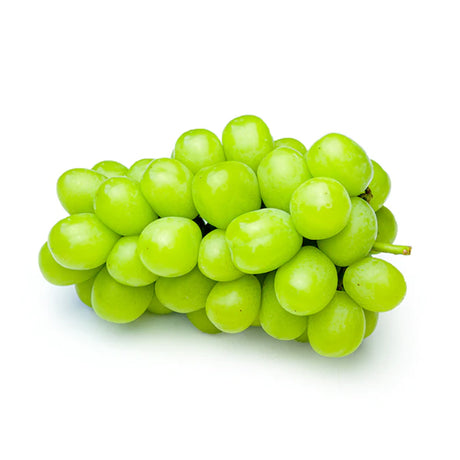 <Sandy Farm> Shine Muscat (BRAZIL, 500g)