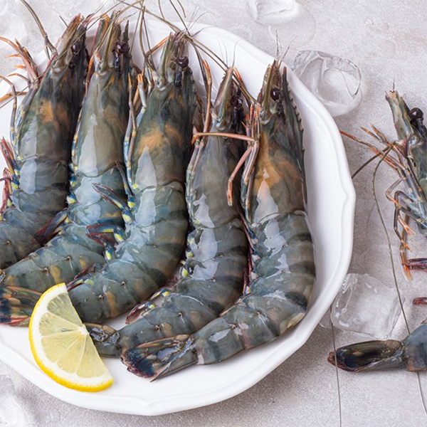 [BLUE BAY] Black Tiger Shrimp (12 Pieces)