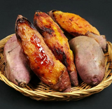 *[샌디팜] 초특가 꿀고구마 (500gx10pack)