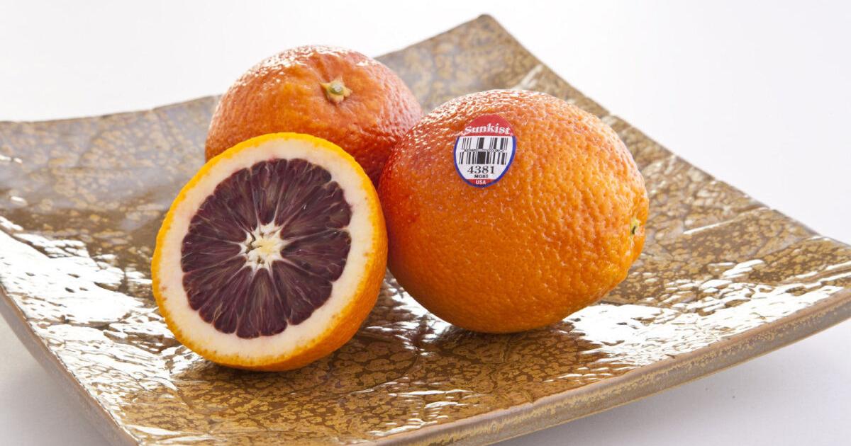 <SANDY FARM> Blood Orange (4EA)