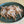 Load image into Gallery viewer, [블루베이] 백족 (250g)
