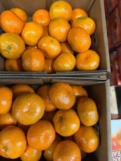 <샌디팜> 귤(Top Sweet Mandarin, 4LB)