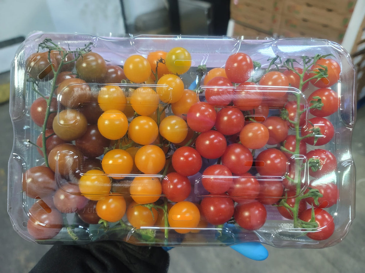 <Sandy Farm> Tomato (On the vine cherry tomato, 1.5LB)