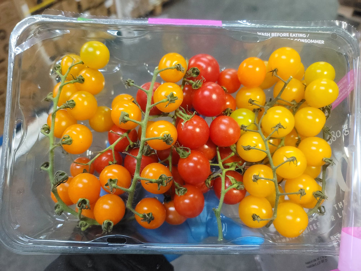 <Sandy Farm> Tomato (On the vine cherry tomato, 1.5LB)