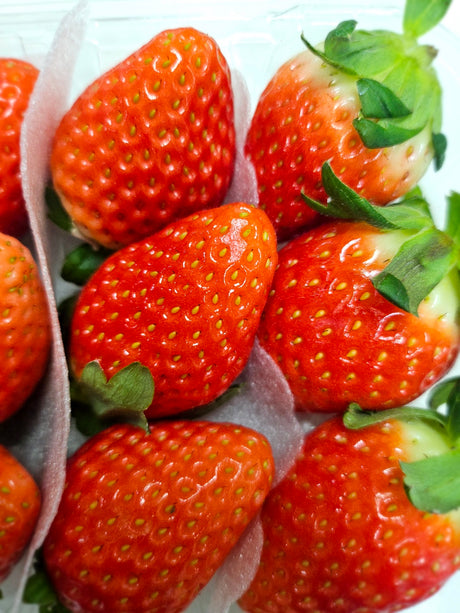 <Marketban> Premium Korean 'JoyFarm' Strawberries (350g)