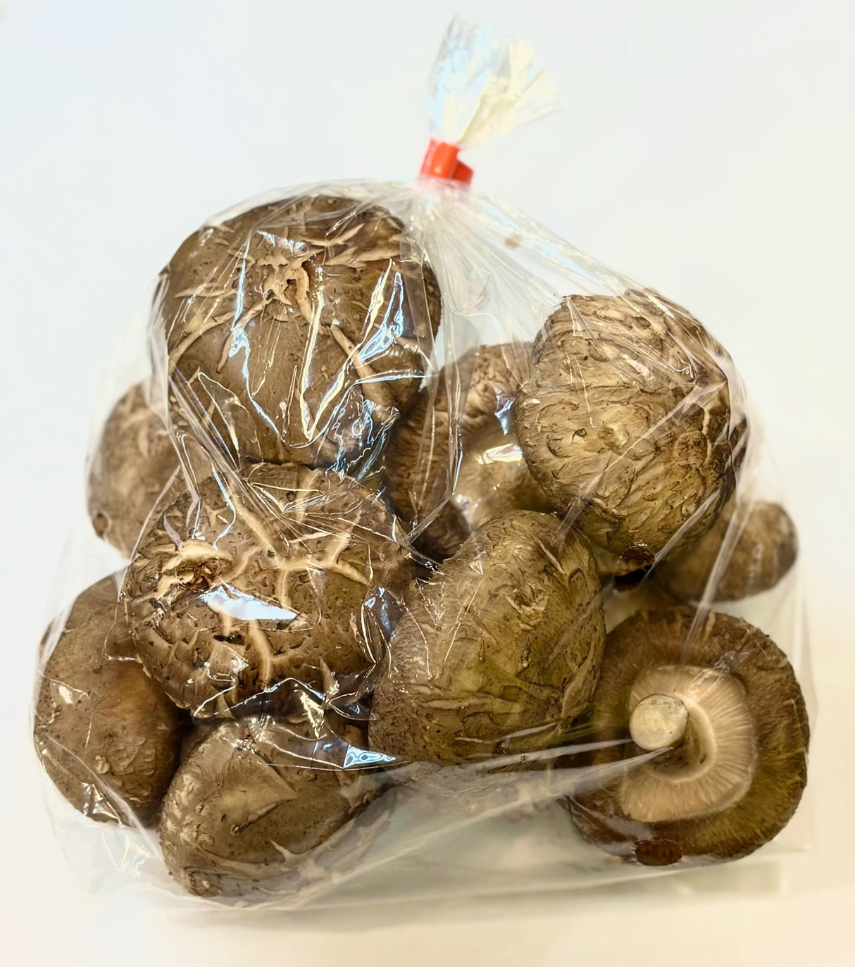 <Sandy Farm> Shiitake Mushroom (Approx. 0.7LB)