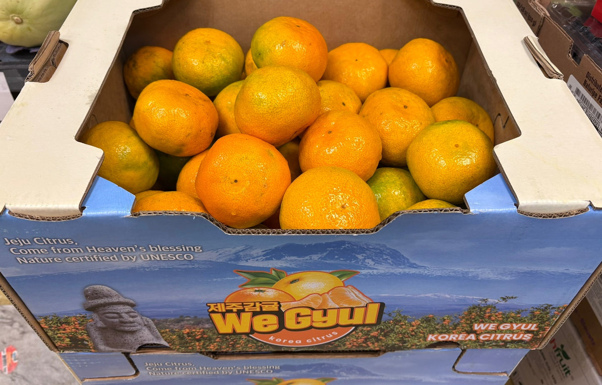 <Sandy Farm> Tangerine (Jeju Tangerine, 3LB)