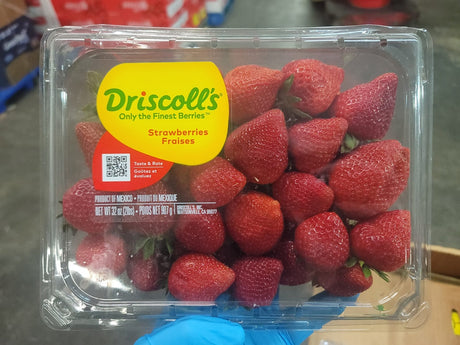 <Sandy Farm> Premium Strawberry (approx.2LB)