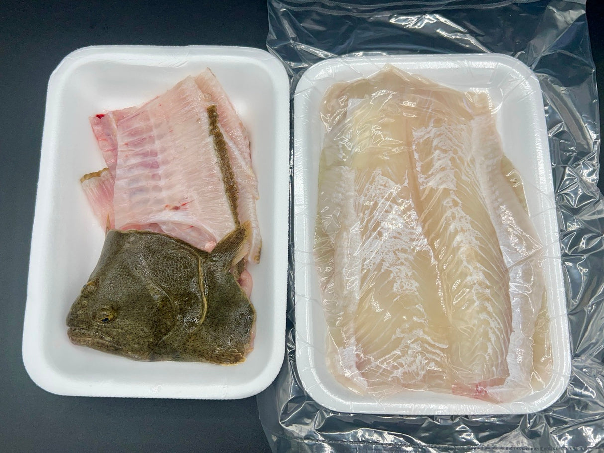 <BlueBay_Sashimi> Live Flatfish Sashimi (1 Fish) (Wednesday/Friday Pickup ONLY)