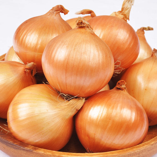 *<Sandy Farm> Organic Onion (yellow, 3LB)