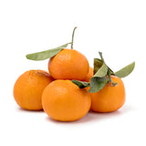 [Sandy Farm][Highly Recommended] Tangerines (stem&leaf, 3LB)