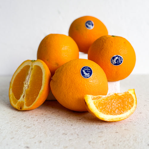 <Sandy Farm> Blue Jay Orange (L size, 5EA, about 3.5LB)