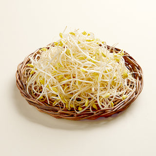 Bean Sprouts (400g / Hanbaek)