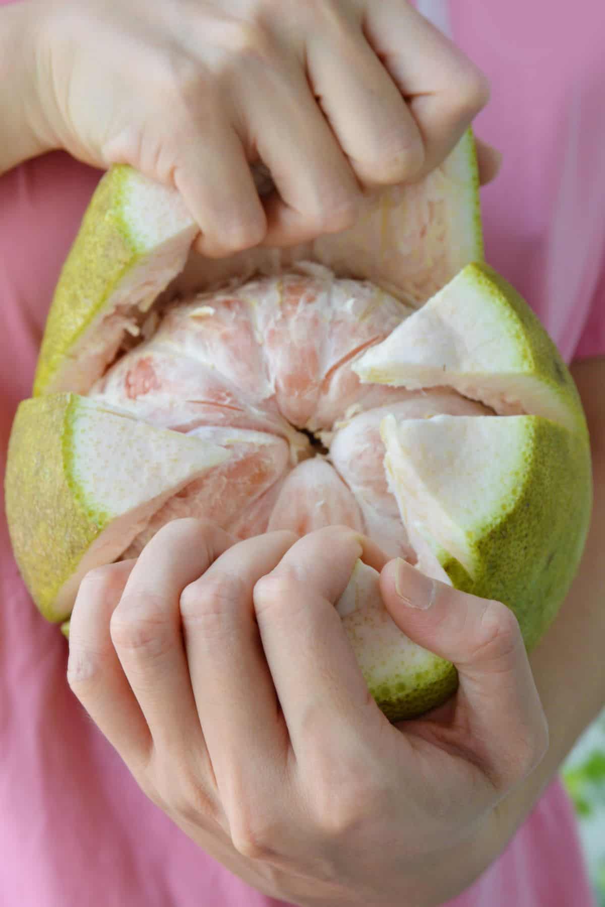 <샌디팜>핑크 포멜로