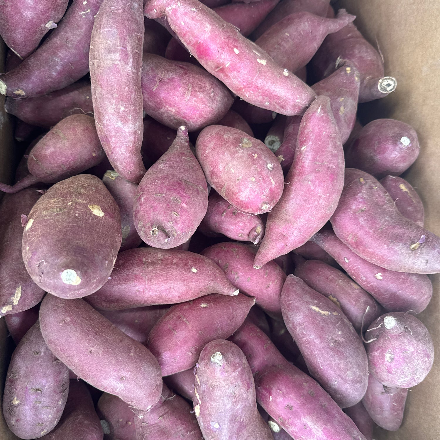 Sweet Potato (3LB)
