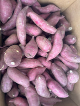 *<샌디팜> 고구마 (3LB)