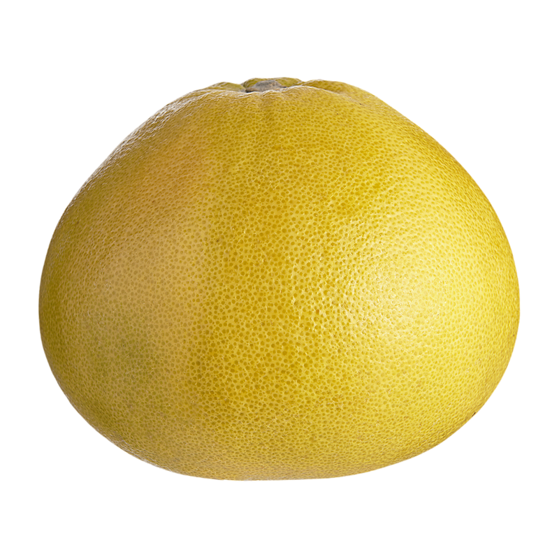 <샌디팜>핑크 포멜로