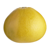 <샌디팜>핑크 포멜로