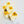 Load image into Gallery viewer, [ReBinu] 카렌듈라 비누 • Calendula Sensitive 비누 (민감성, 건성피부용)
