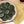 Load image into Gallery viewer, [조은떡집] 모시개떡 (1.1kg 이상, 25ea) 1팩
