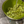 Load image into Gallery viewer, [ReBinu] 올인원 디쉬바 • All-in-One Dish Bar (2개입 +Eco 수세미 1개 증정)
